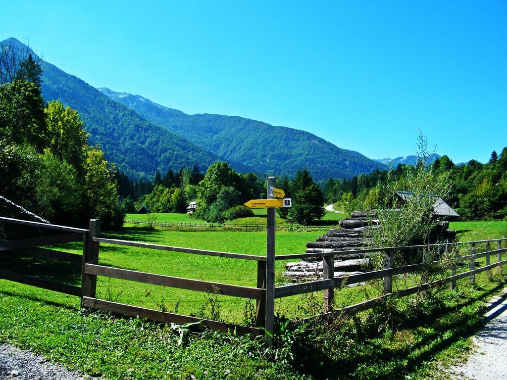 Guest House Alenka Bohinj Exterior photo